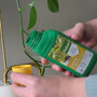 Pokon Groene Planten Voeding Vloeibaar sfeer